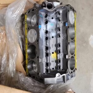 Ford 302 Short Block Motor